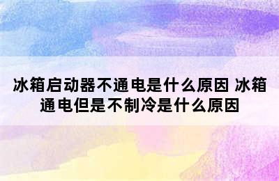 冰箱启动器不通电是什么原因 冰箱通电但是不制冷是什么原因